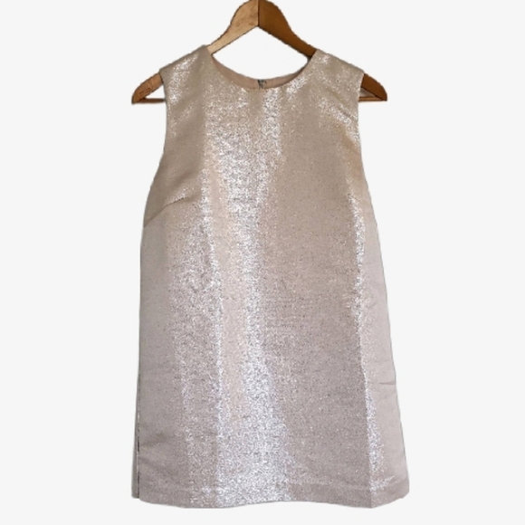 Forever 21 Dresses & Skirts - Forever 21 Sheath Shift Mini Dress Mod Retro Style Metallic Silver Cream
